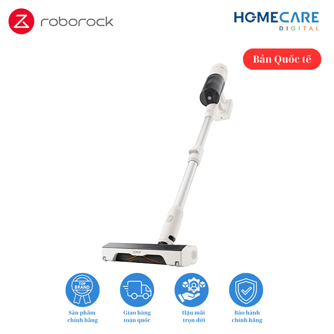 Roborock-H60